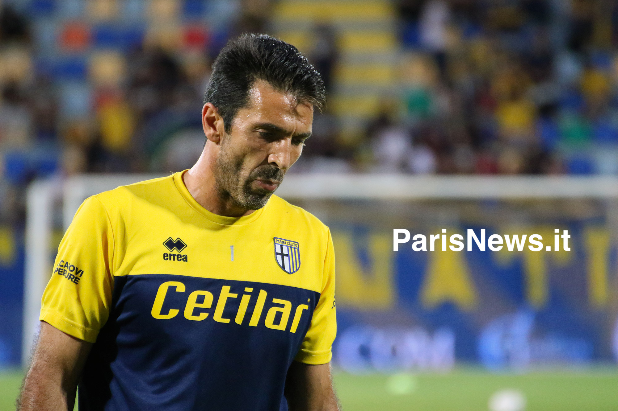 Buffon