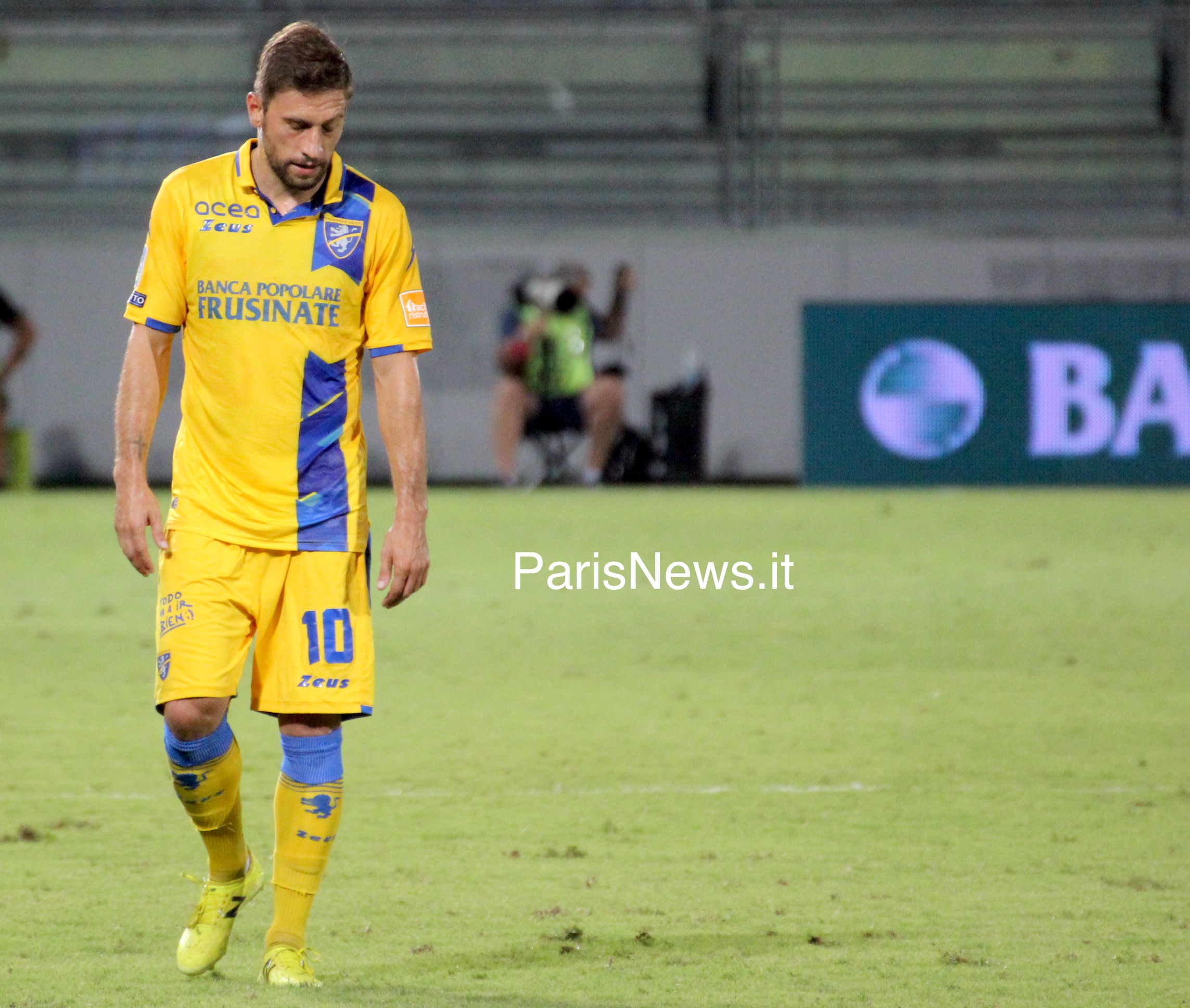 Dionisi triste