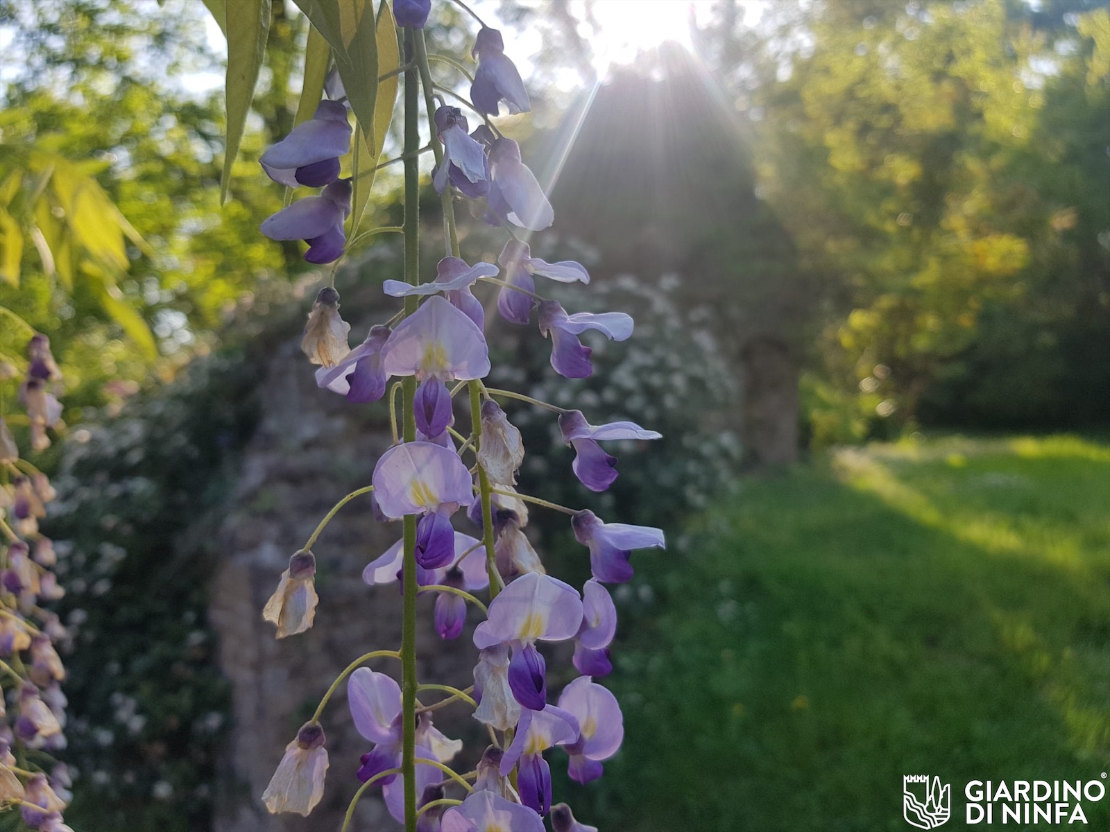 Giardino di Ninfa