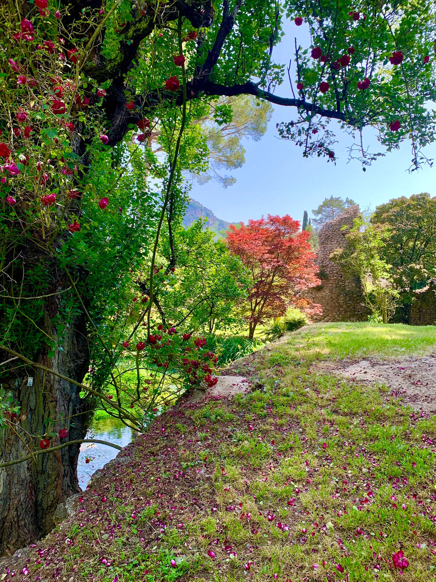 Giardino di Ninfa