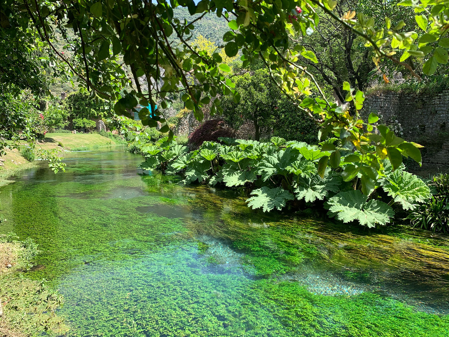 Giardino di Ninfa