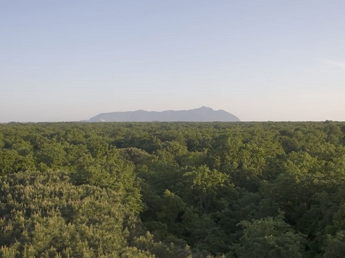 Divieto temporaneo di accesso notturno nella Foresta demaniale  del Circeo