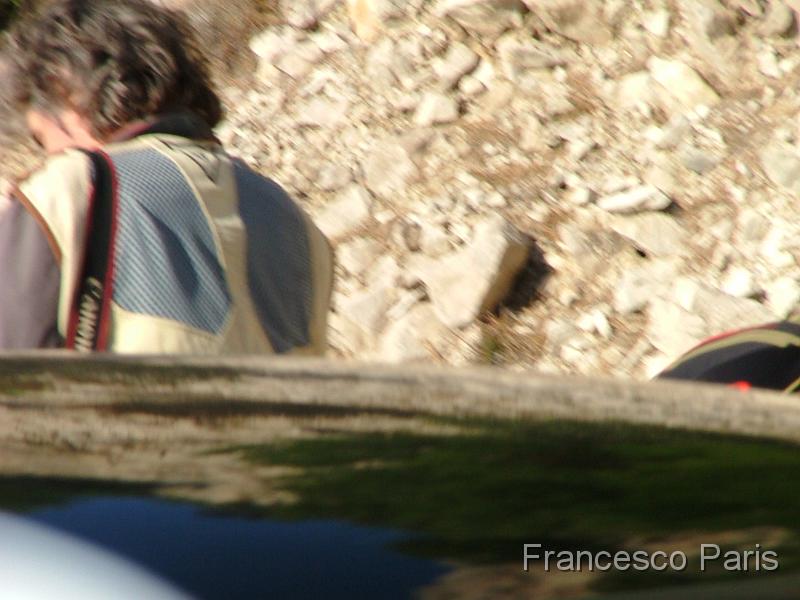 DSCF8377.JPG