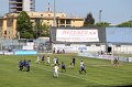 IMG_6743