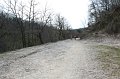 IMG_4774