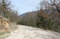 IMG_4775