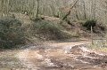 IMG_4781