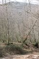 IMG_4782