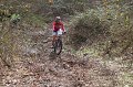 IMG_4866