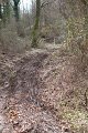 IMG_5002