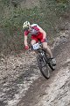 IMG_5295
