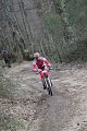IMG_5321