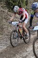 IMG_5341
