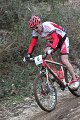 IMG_5379