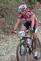 IMG_5426