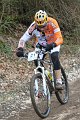 IMG_5428