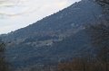 IMG_5433