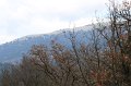 IMG_5435