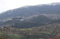 IMG_5436