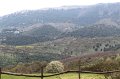 IMG_5437