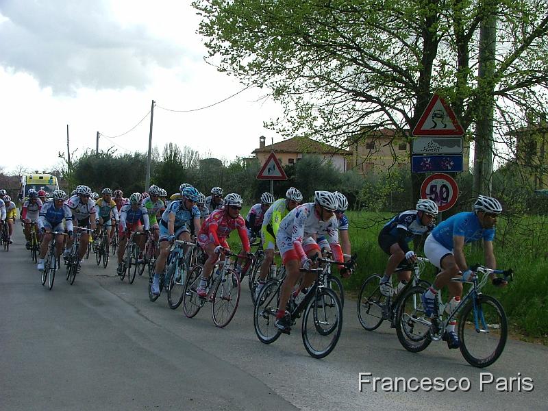 DSCF9428.JPG