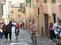 DSCF1642