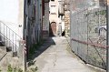 IMG_5698