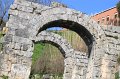 IMG_5807
