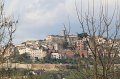IMG_5945