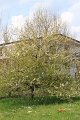 IMG_5953