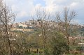 IMG_5959