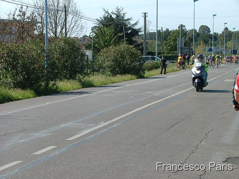 DSCF9349.JPG
