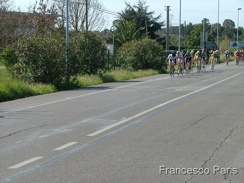 DSCF9356.JPG